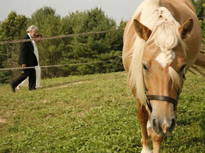 couple walking next to horse farm